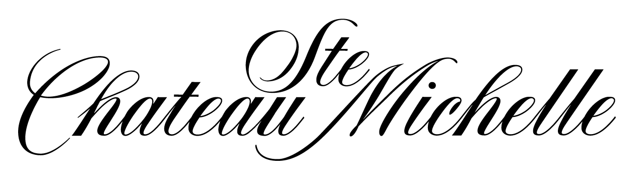 Copy of CSM logo black 2