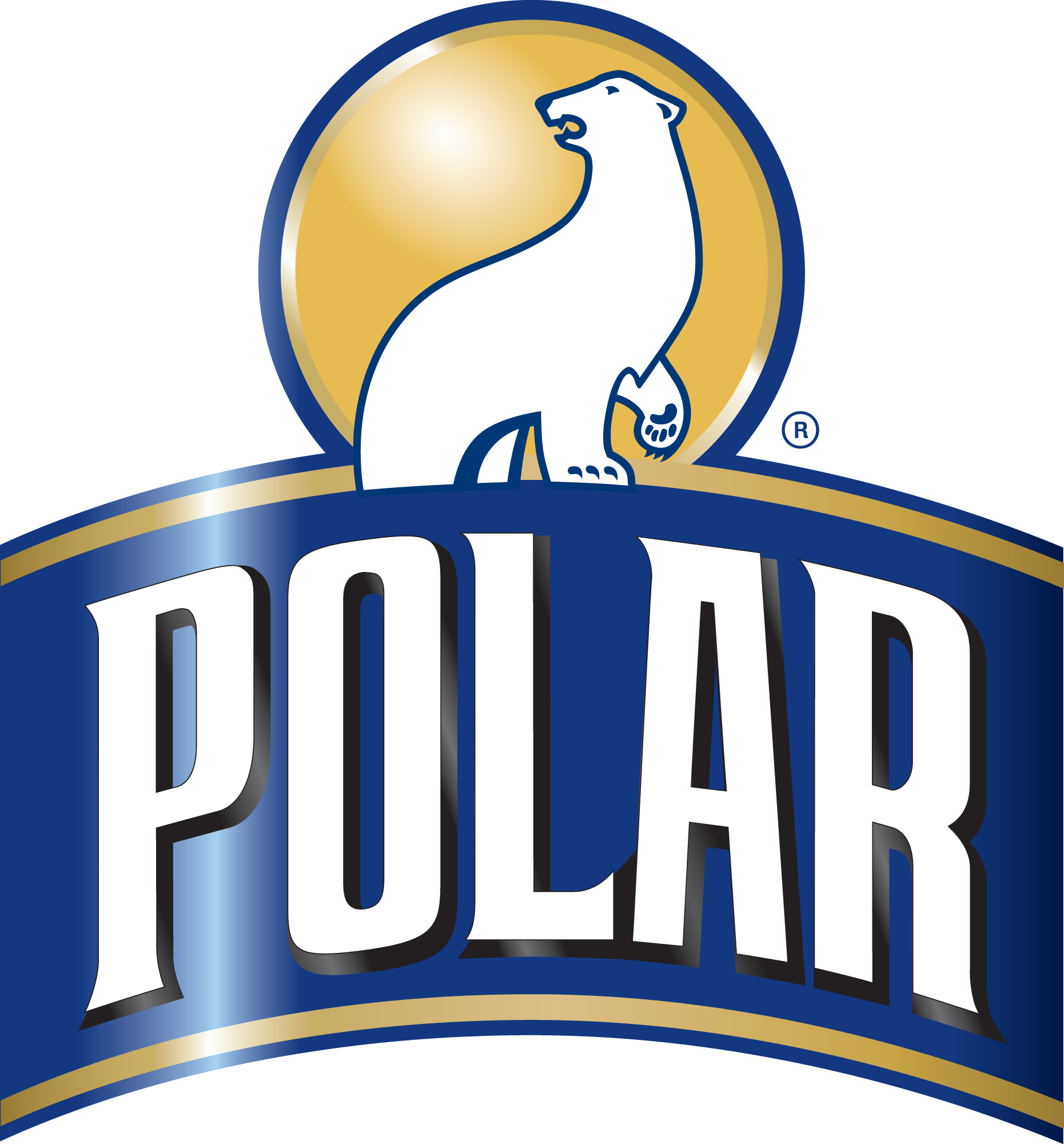 Polar Logo 2012